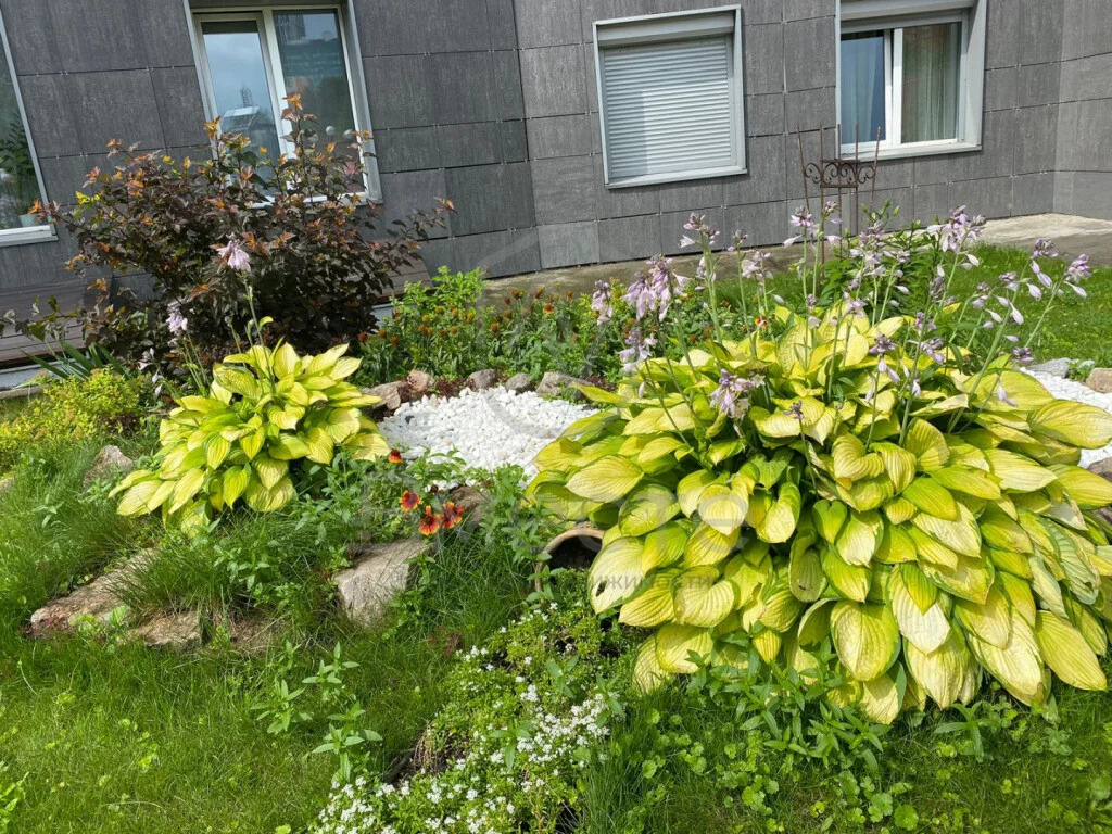 Продажа квартиры, Новосибирск, ул. Шевченко - Фото 26