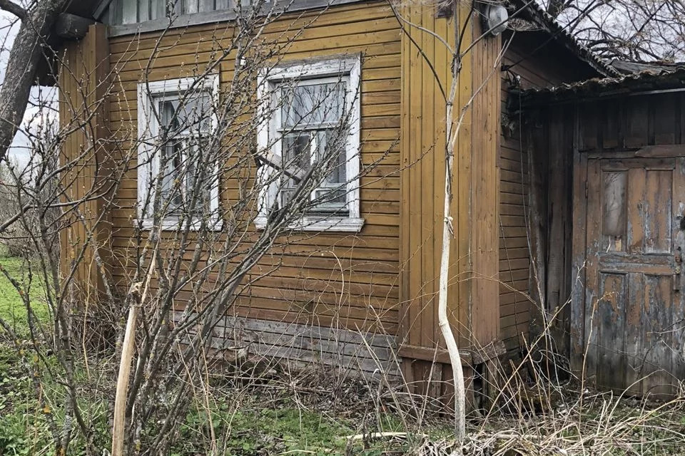 Дачи в онеге. Деревня Оксово Архангельская область.