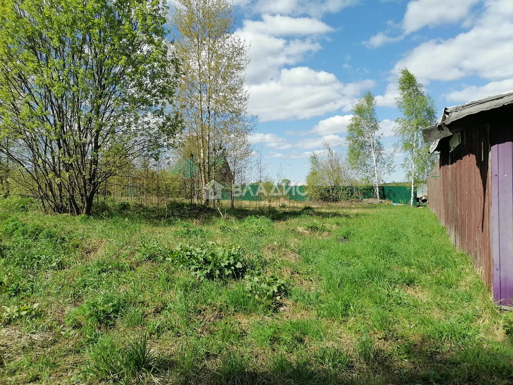 Судогодский район, деревня Сойма, улица Старая Сойма,  земля на ... - Фото 1