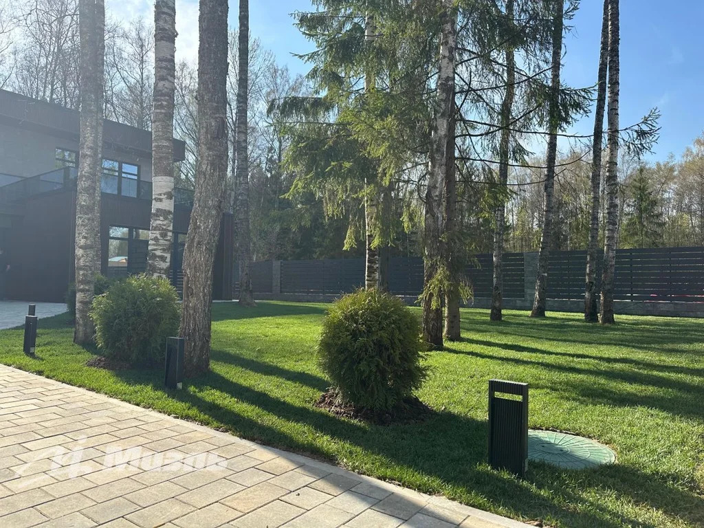 Объект 553557 - Фото 2