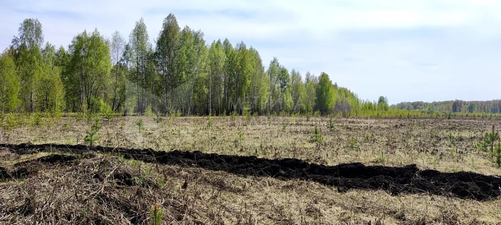 Продажа земельного участка, Тюменский район, Тюменский р-н - Фото 1