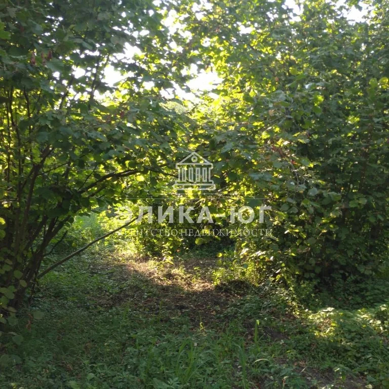 Продажа дома, Новомихайловский, Крымский район, Зеленая ул. - Фото 13