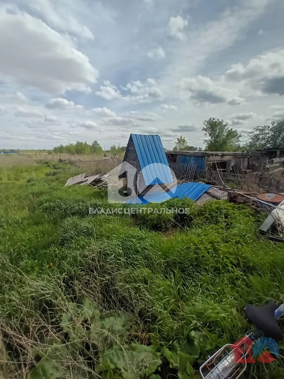 Коченёвский муниципальный район, село Катково, Школьная улица,  дом на ... - Фото 1