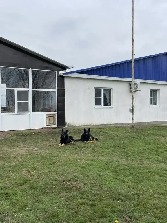 База отдыха на берегу реки Маныч — ваш личный выход к воде! - Фото 3