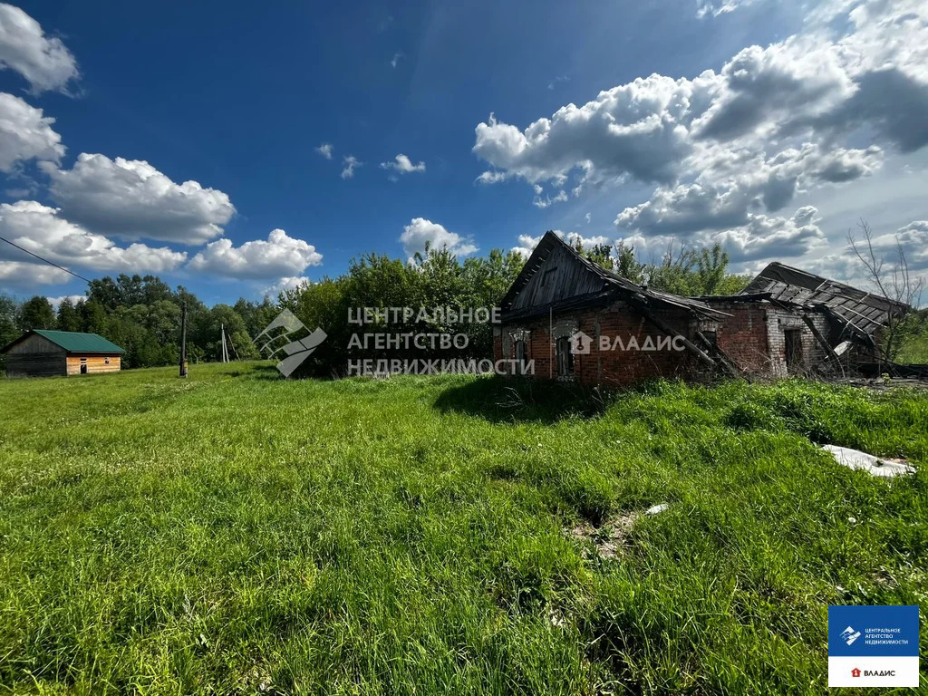 Продажа участка, Сушки, Спасский район, ул. Тихая - Фото 5