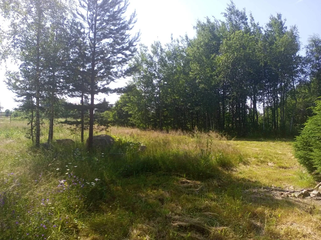 Продается земельный участок 23 сот. - Фото 10