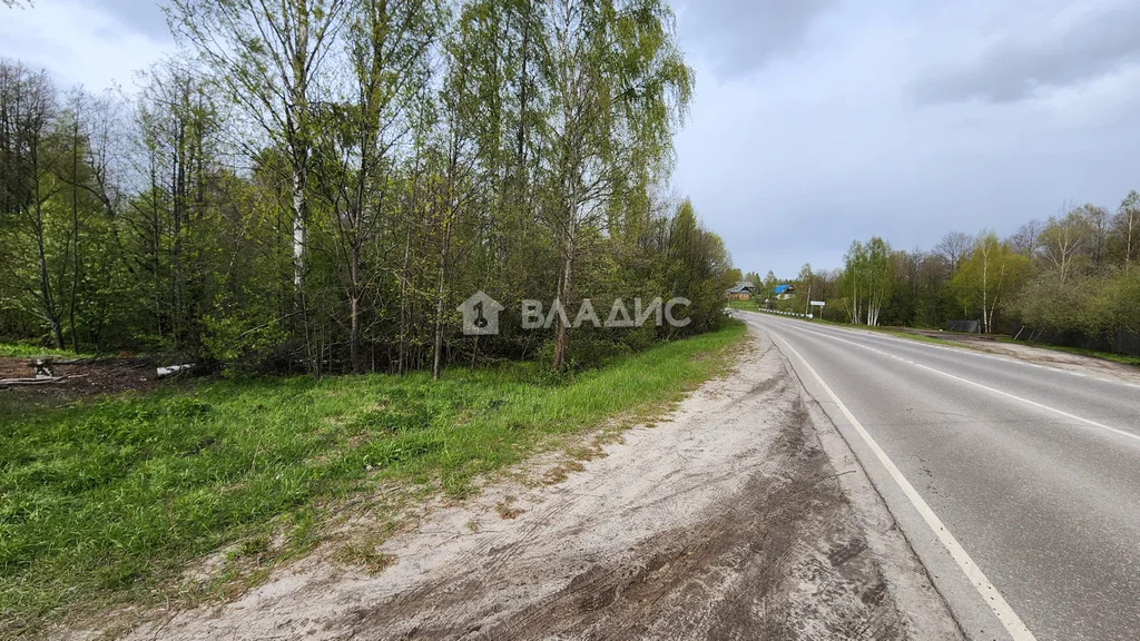 городской округ Семёновский, деревня Деяново, Заречная улица,  дом на ... - Фото 17