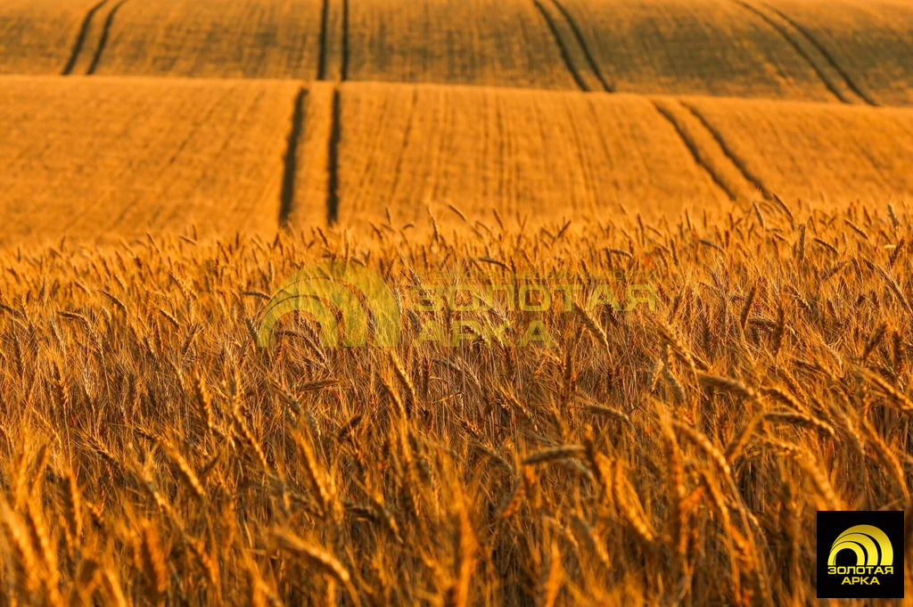 Продажа участка, Сенной, Темрюкский район - Фото 1