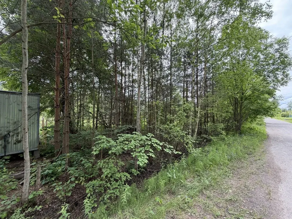 Участок в деревне Верейка - Фото 0