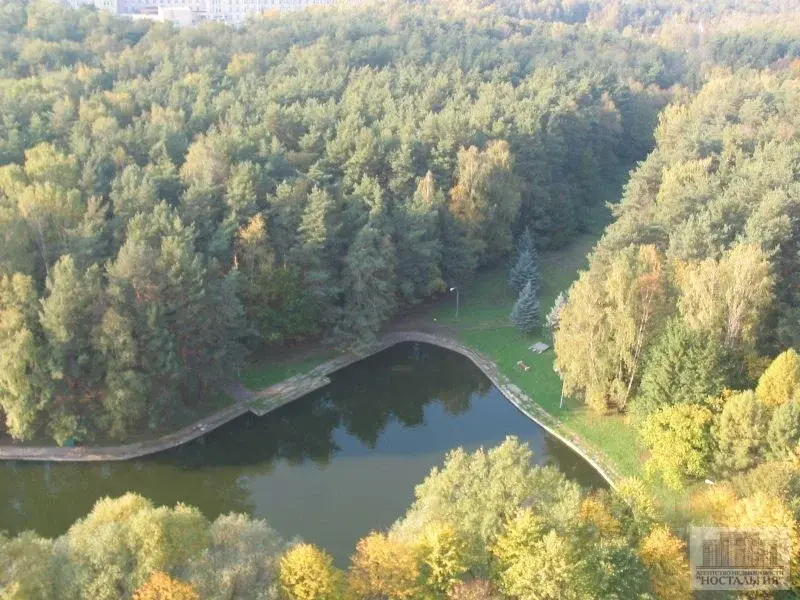 Сдам однокомнатную квартиру 62.0м - Фото 11