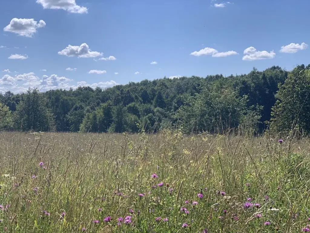 Продажа участка 12.0 сот. Тульская область, Алексин городской округ, ... - Фото 4