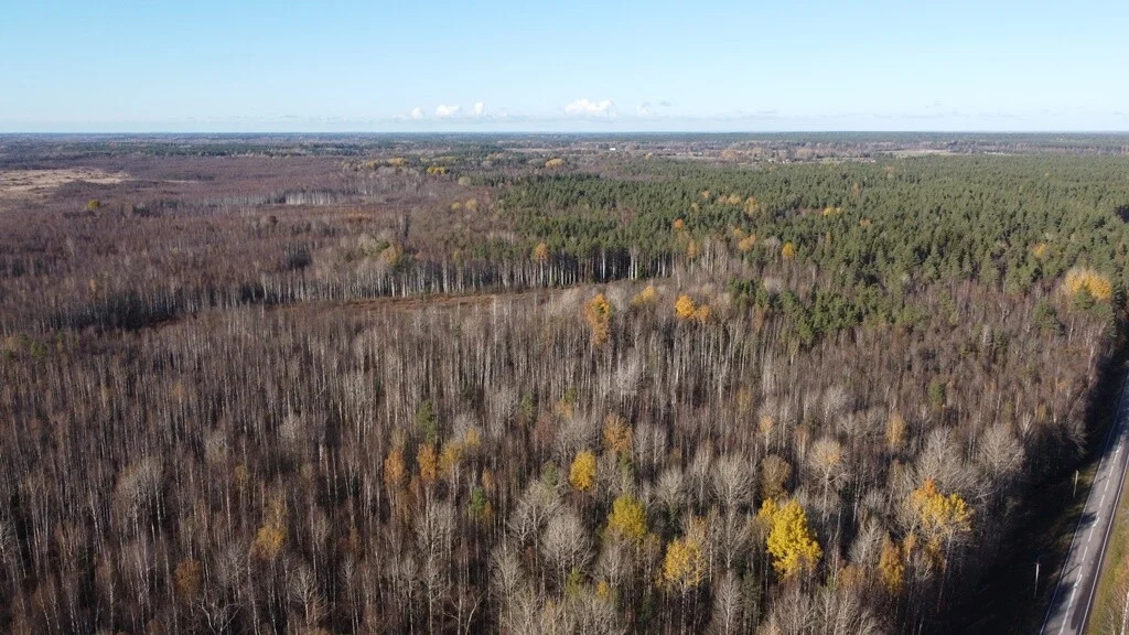 Продажа участка, Барышево, Выборгский район - Фото 10