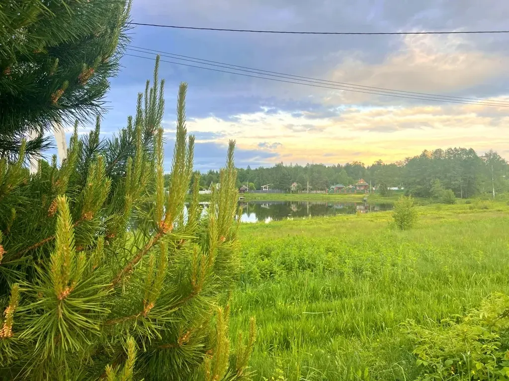 Участок в деревне Русаки - Фото 1