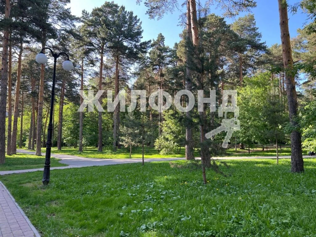 Продажа квартиры, Новосибирск, ул. Кузьмы Минина - Фото 25