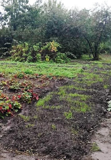 Купить Землю В Муроме Под Строительство Дома