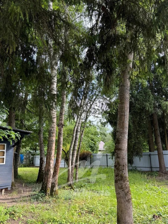 Продажа участка, Клин, Клинский район, 1-я ул. - Фото 5