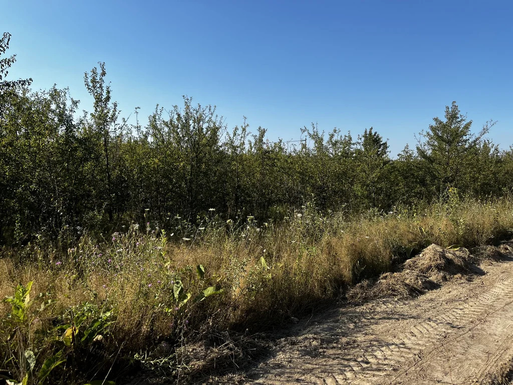 Продажа участка, Калужская, Северский район, улица Казачья - Фото 6