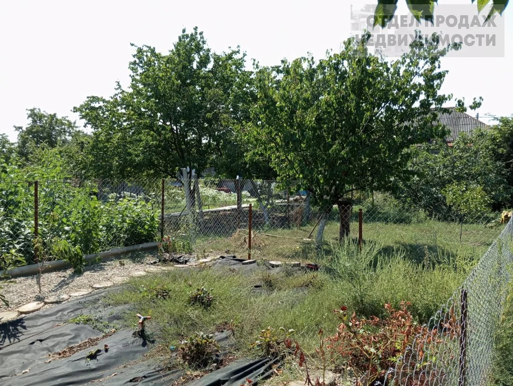 Объект 537526 - Фото 20