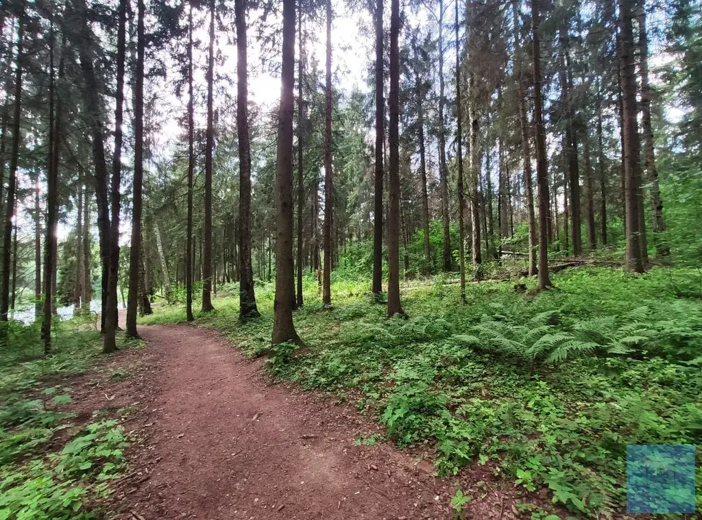 151кв.м. в лесу, кп Гончарная слобода - Фото 8