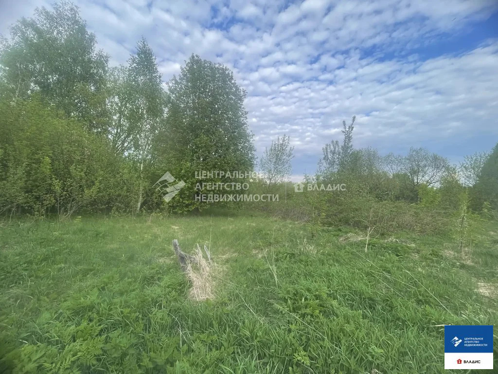 Продажа участка, Острая Лука, Спасский район - Фото 11