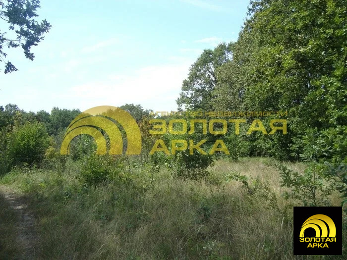 Продажа участка, Смоленская, Северский район, ул. Советская - Фото 1