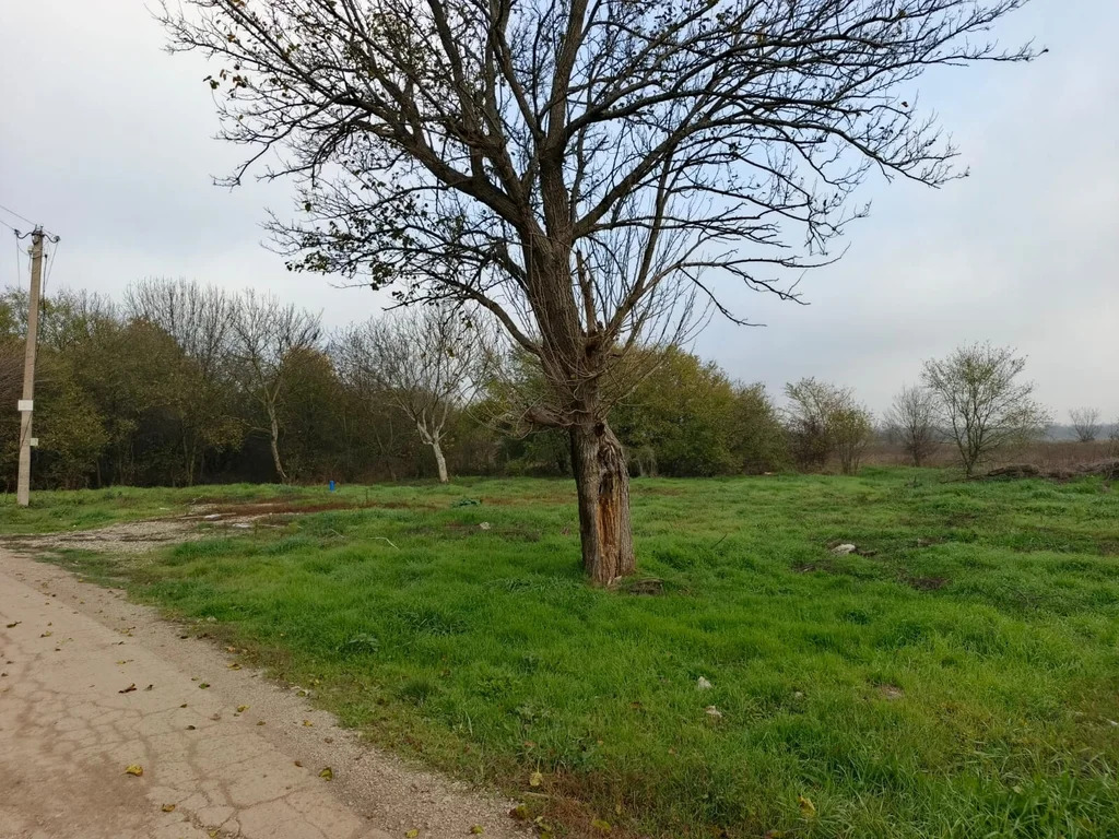 Продажа участка, Бончковский, Северский район - Фото 5