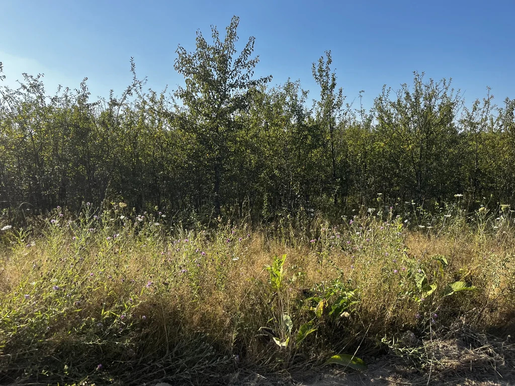 Продажа участка, Калужская, Северский район, улица Казачья - Фото 5