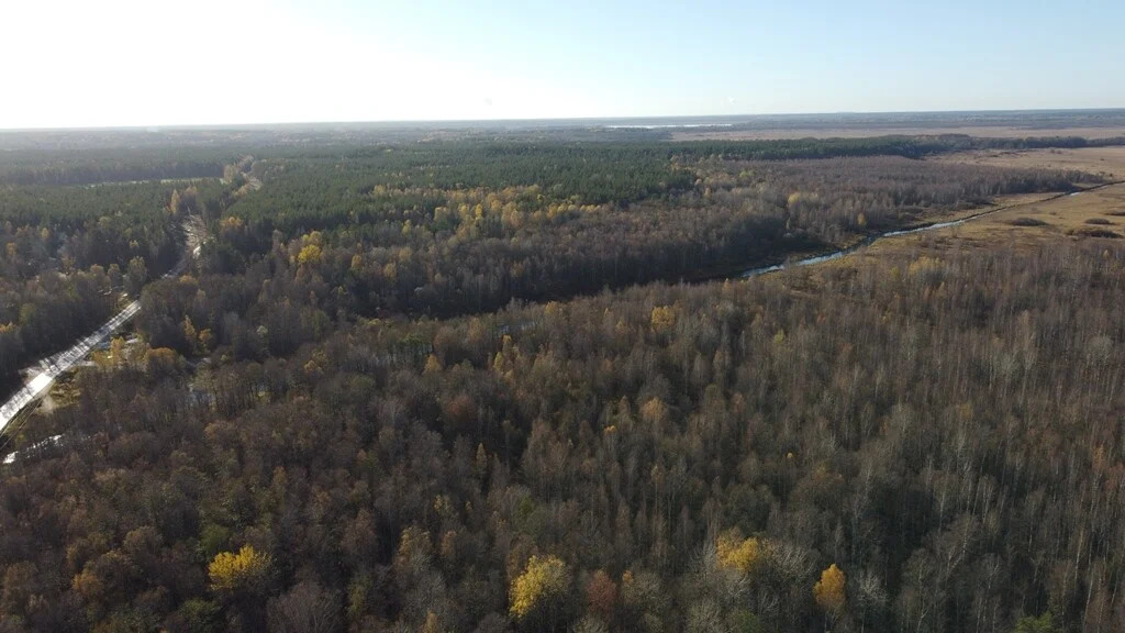 Продажа участка, Барышево, Выборгский район - Фото 15