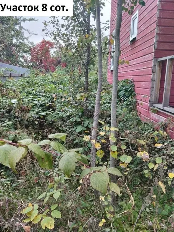 Продаю дом 99.5м Московская область, Мытищи городской округ, ... - Фото 8