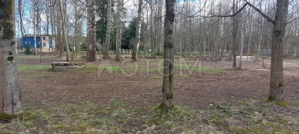 Продажа участка, Зеленогорск, ул. Вокзальная - Фото 4