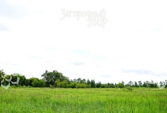 Продам участок, Новорязанское шоссе, 50 км от МКАД - Фото 1