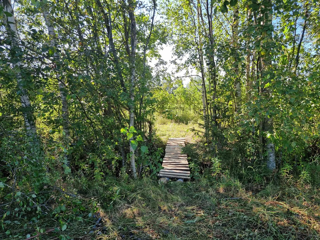 Продажа участка, Большие Пороги, Всеволожский район - Фото 16