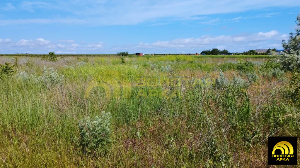 Продажа участка, Юбилейный, Темрюкский район - Фото 4