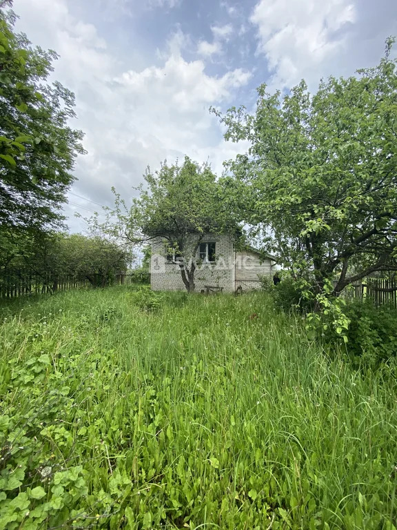 Суздальский район, СНТ Родник,  земля на продажу - Фото 0