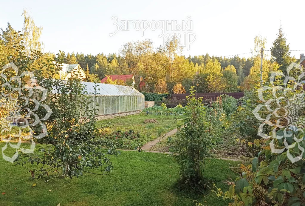 Продам участок, Волоколамское шоссе, 22 км от МКАД - Фото 3