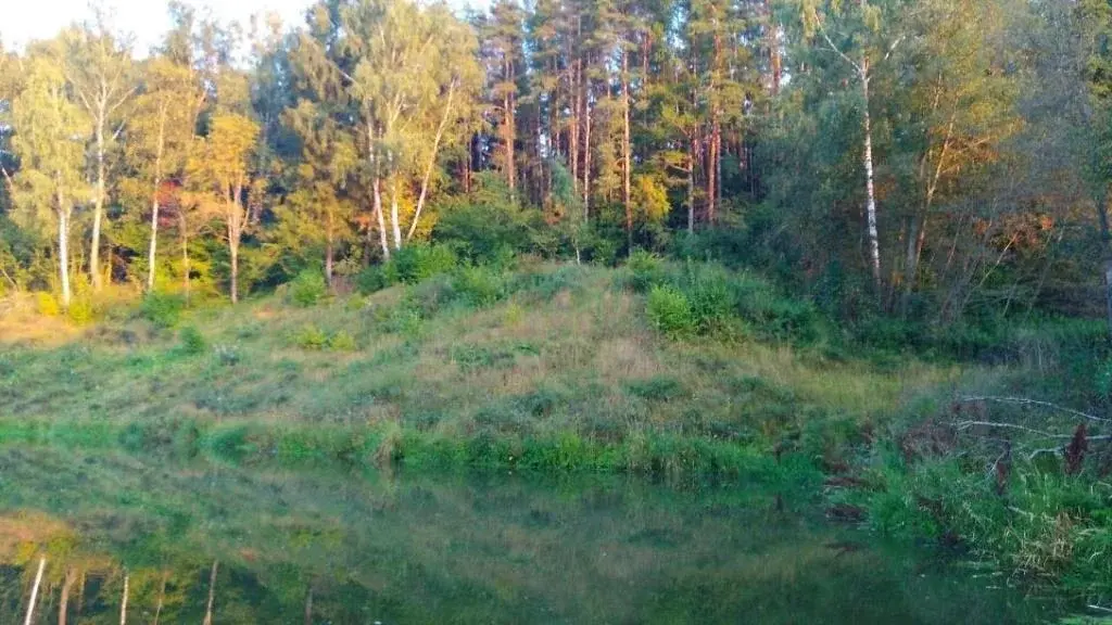 Участок на высоком берегу реки с панорамными видами на Рублевке дешево - Фото 7