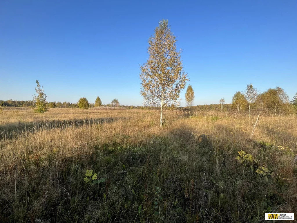 Продажа участка, Жилино, Солнечногорский район - Фото 2