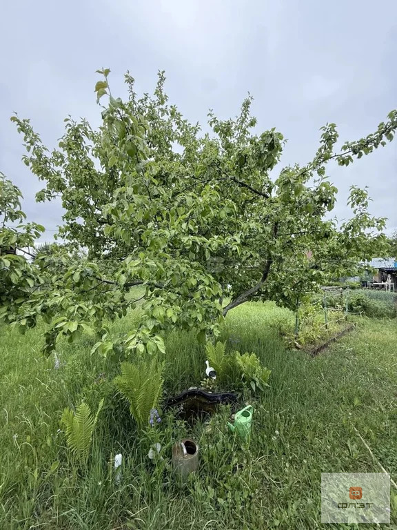 Продажа дома, Высокогорский район, Участок - Фото 12