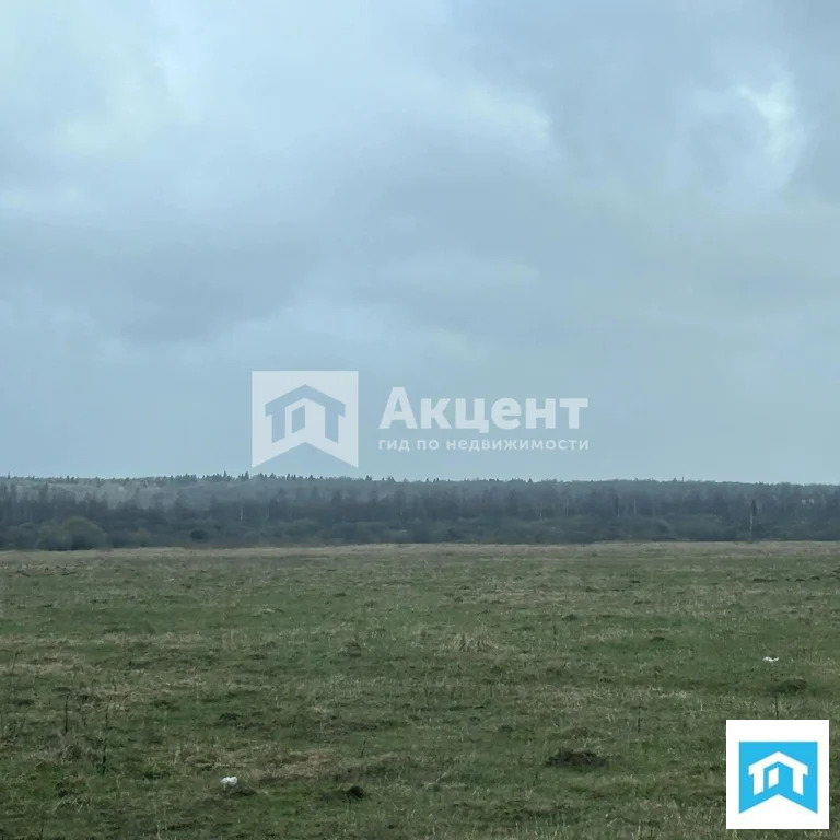 Продажа участка, Писцово, Вичугский район, Красноармейская улица - Фото 6