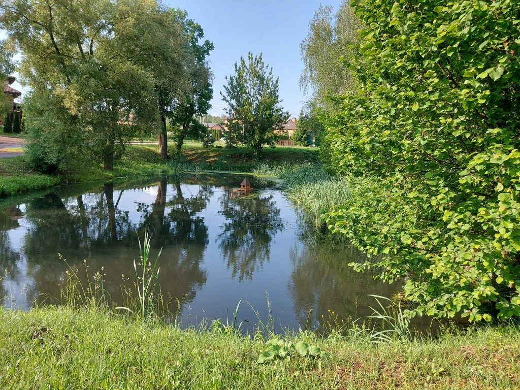 Продается земельный участок 17 сот. в деревне Прохорово. - Фото 7