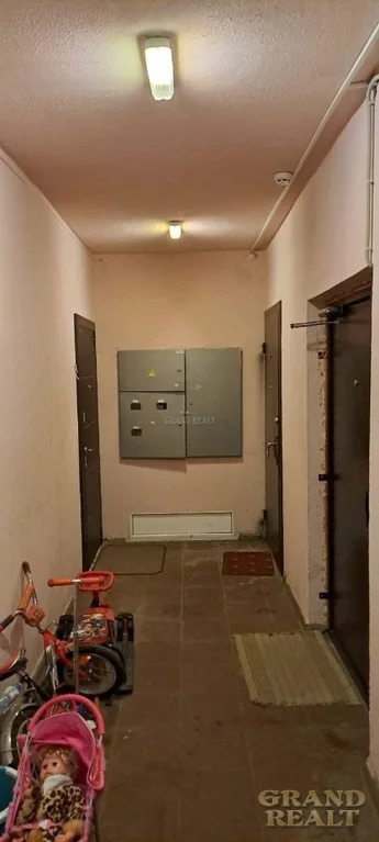 Лыткарино ул колхозная 4. Лыткарино ул колхозная 4
