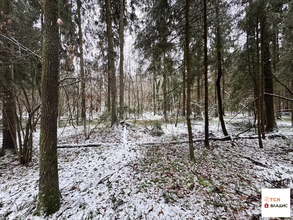 Продажа участка, Могильцы, Лотошинский район - Фото 2