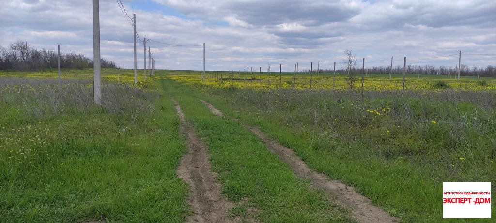 Продажа участка, Новоприморский, Неклиновский район, Мартовская ул. - Фото 6