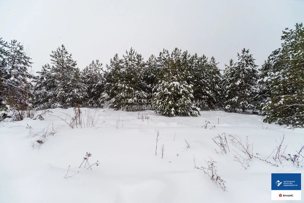 Продажа участка, Рязанский район, Ясная улица - Фото 13