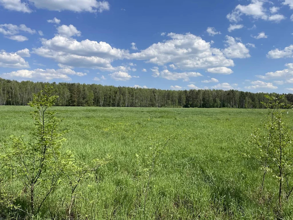 Продажа участка, Княжево, Дмитровский район - Фото 10