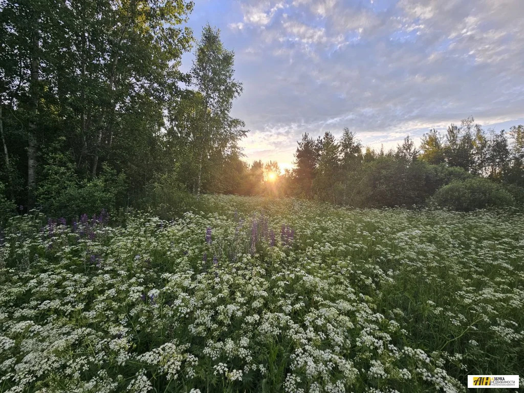 Продажа участка, Карабаново, Богородский г. о. - Фото 5