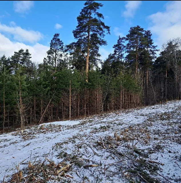 Земельные участки общей площадью 17 546 кв.м. в Ленинградской области - Фото 0