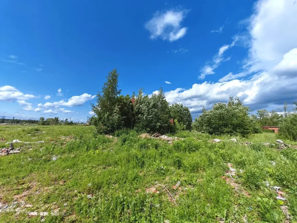 Продажа промышленной земли 3 ГА в Софрино - Фото 6