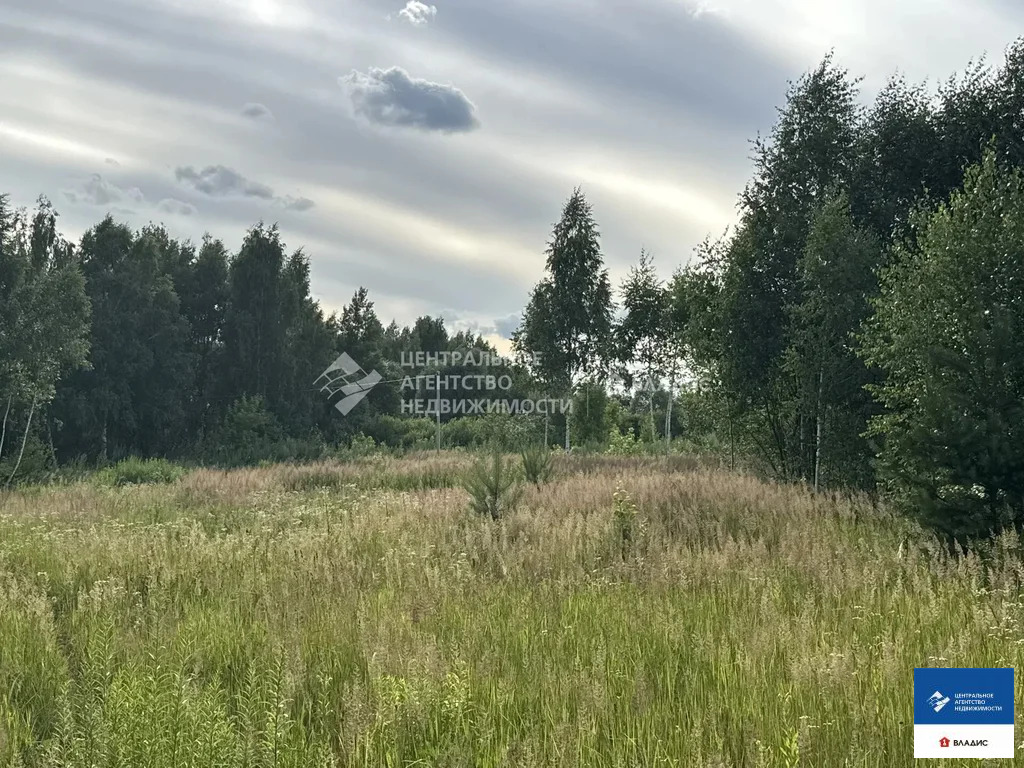 Продажа участка, Рязанский район - Фото 10