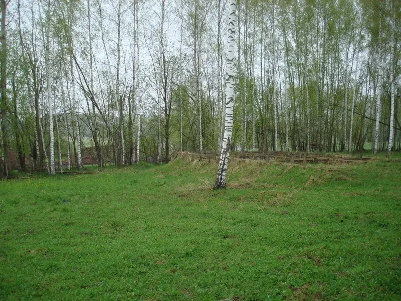 Земельный участок в деревне - Фото 2
